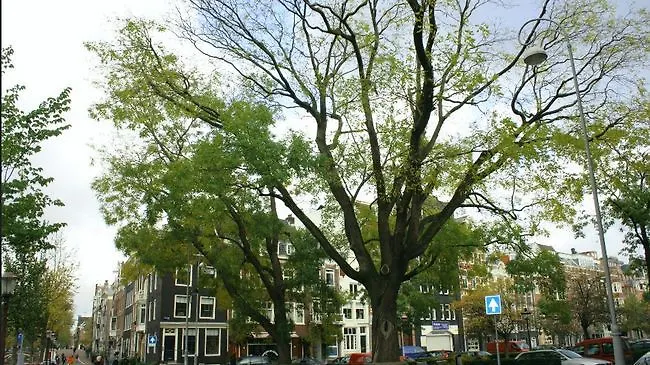 Short Stay Group Central Vip Apartments Amsterdam